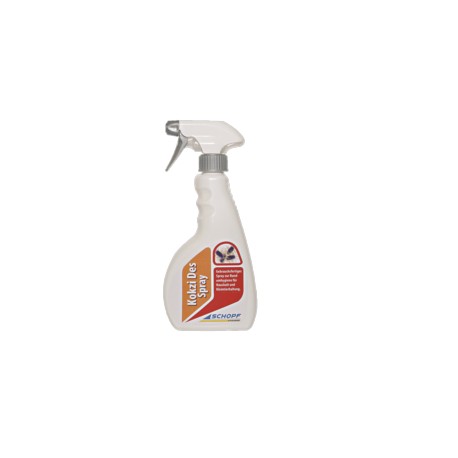 Kokzi Des Spray (Flasche) 500ml