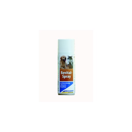 Revital Salben-Spray (Flasche) 200ml