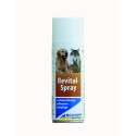 Revital Salben-Spray (Flasche) 200ml